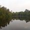 Grassy end of a slough on Big Creek Lake