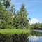 Peters Creek View 2
