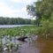 Black Creek Beach