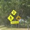 Golfer Crossing