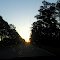  Driving Florida