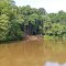 Fishing Spot on South River
