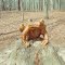 13-01-27: frog