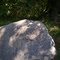 Hathaway Preserve, ACRES