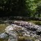 Ross Run, Hataway Preserve