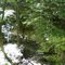 Hathaway Preserve
