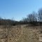 Hathaway Preserve, an ACRES Land Trust