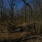 Hathaway Preserve, an ACRES Land Trust