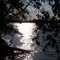 Greentown res.