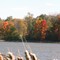 fall colors