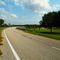 Road From Ocala