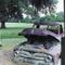 abandoned 1956 Ford, Ematha, Florida (1995)