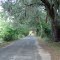 canopy road, 152nd Ln, Reddick Fla (4-28-2012)