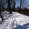 Single Track in the Snow!