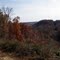 Fall Colors in Casey County