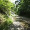 Clear Branch Rd. Casey Co. Ky