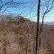 Moores Branch Watershed