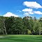 Green Meadows #11