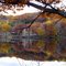 Reflections of Autumn