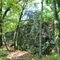 Osceola Bedrock Glades State Natural Area, WI