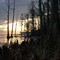 Fishers Landing morning