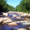 USA - Swift River near North Conway (2457)