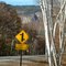 Kangamangus Highway - Late Fall