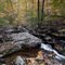 Teetertown Fall