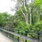 Columbia Rail Trail Trestle in Middle Valley