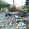 Storm damage down the street
