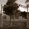 Charity Hospital Cemetery, New Orleans. 5050 Canal Street Orleans Parish Louisiana  USA