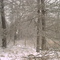A Winter Day on the Farm