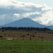 Black Butte Storm