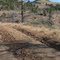 Making a hiking loop over Gray Butte's peak