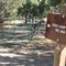 Junction of Gray Butte trail and Cole loop trail