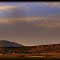 The Wide View