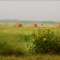 Near Kenedy, Tx.