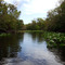 Wekiva River Area