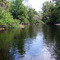 Wekiva River Area
