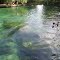 Wekiwa Springs State Park (07/2012)