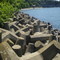 Lakewood Park