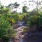 One of the trails in the sanctuary