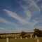 Resthaven Cemetery