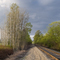 Rail Road Tracks