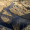 Stream scene