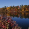 "FALL COLORS OF RICE LAKE"