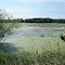 View of Stump Lake from eastern shore off 23 3/16 Ave, Rice Lake, WI.