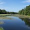 View of a green Tuscobia Lake from 23rd Ave, Rice Lake, WI.