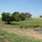 Texas countryside