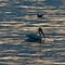 Late Afternoon - Salton Sea, California